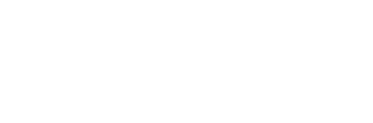 Inspekt%20Alfatest